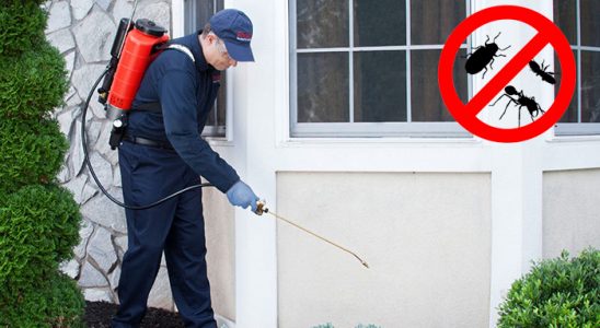Muradiye Hamam Böceği İlaçlama böcek ilaçlama ve haşere kontrolü — ilaclama-tr.com